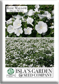 Dwarf White Rose Mallow Flower Seeds (Lavatera trimestris) – 100+ Heirloom Seeds per Packet, by Isla’s Garden Seeds, Compact Blooms for Home Gardens, Borders, Containers, Summer Flowers, Gift Idea
