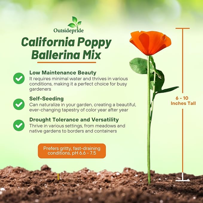 Outsidepride Ballerina Mix California Poppy Seeds - 5000 Pieces Annual, Drought-Tolerant, Self-Sowing Eschscholzia Wildflower Seeds w/Vibrant Color Blooms for Pollinator-Friendly Gardens & Borders