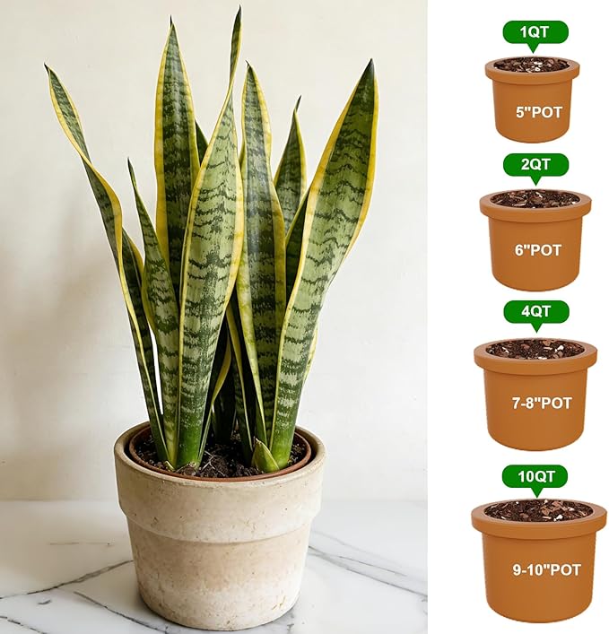 Organic Snake Plant Potting Soil 10qt- Well-Draining Nutrient-Rich Mix for Healthy Roots & Faster Growth, Natural Soil for Sansevieria Plants