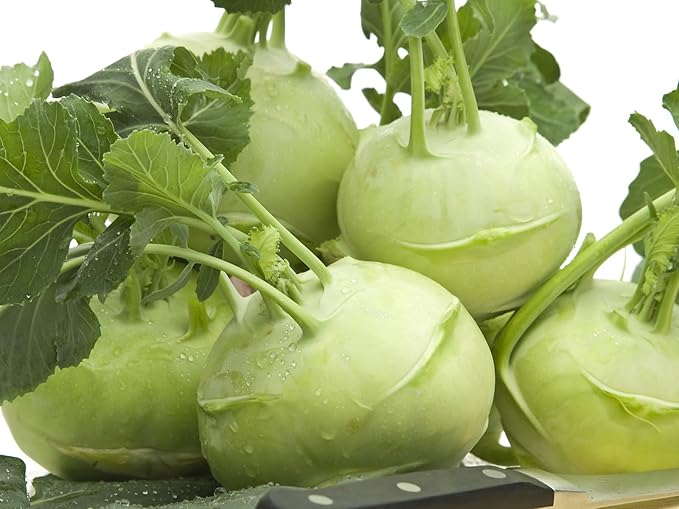 Seeds Kohlrabi Cabbage Giant Biennial Vegetable for Planting