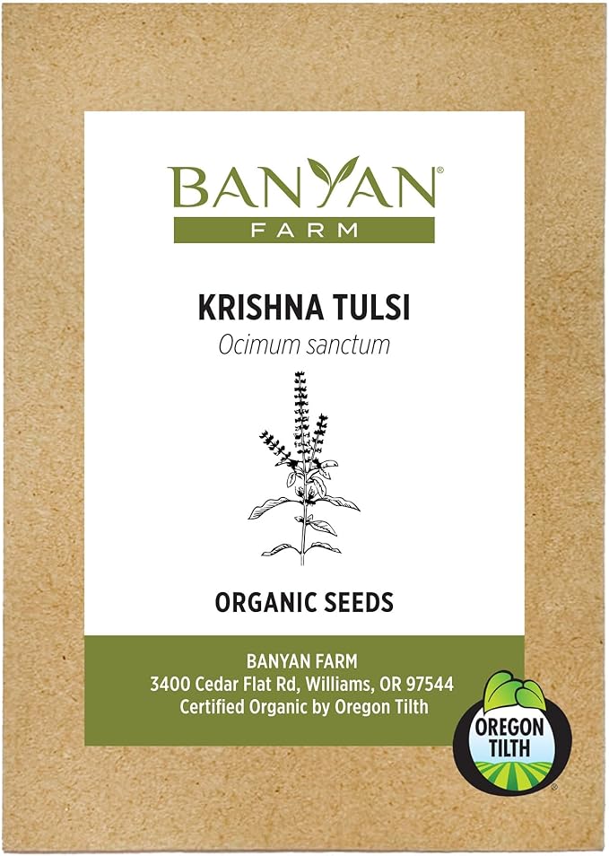 Banyan Botanicals Organic Krishna Tulsi Seeds – Ocimum Sanctum – Holy Basil Tulsi Seeds to Grow Ornamentally & for Herbal Use – 50 Count – Open Pollinated Non-GMO Easy to Grow