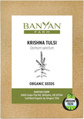 Banyan Botanicals Organic Krishna Tulsi Seeds – Ocimum Sanctum – Holy Basil Tulsi Seeds to Grow Ornamentally & for Herbal Use – 50 Count – Open Pollinated Non-GMO Easy to Grow