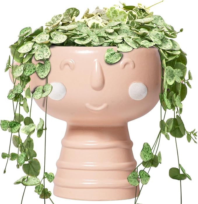 Face Planter Pots Head 7 Inch - Ceramic Face Pot for Plants Indoor Outdoor, Cute Decorative Plant Pots with Drainage Hole, Succulent Planters, Living Room Decor, Valentine Gifts, Matte Pink