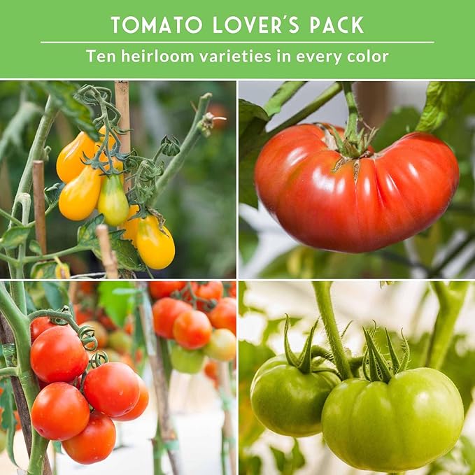 Tomato Seeds 10 Variety Pack for Planting - Cherokee Purple, Roma, Cherry, Aunt Ruby's Green, Hillbilly, Mortgage Lifter, Brandywine, & More - Non-GMO Heirloom Tomatoes - Survival Garden Seeds