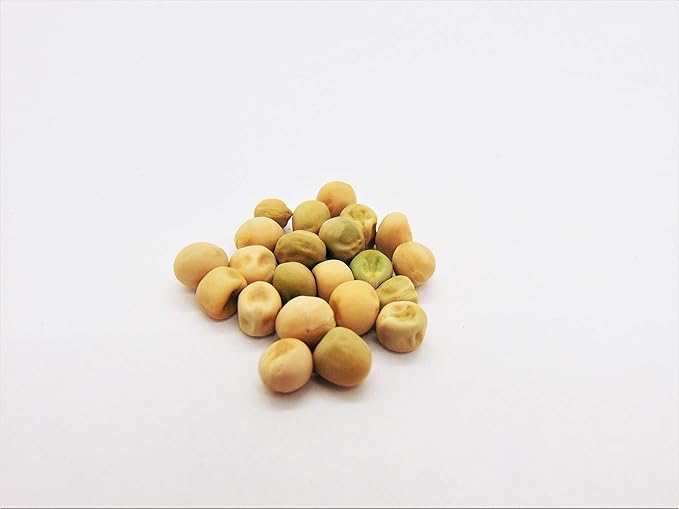 Joyous Jiffy "Veggie" Collection #2-(2)Round 3x3 Jiffy pots,(2)Soil Peat Pellets,(1)25+ Roma II Bush Bean Seeds,(1) 25+ Sugar Daddy Pea Seeds,(1)25+ Broccoli Raab Seeds,&(1)25+ Giant Belgium Tom Seeds