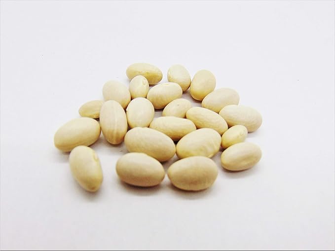 Joyous Jiffy "Veggie" Collection #2-(2)Round 3x3 Jiffy pots,(2)Soil Peat Pellets,(1)25+ Roma II Bush Bean Seeds,(1) 25+ Sugar Daddy Pea Seeds,(1)25+ Broccoli Raab Seeds,&(1)25+ Giant Belgium Tom Seeds