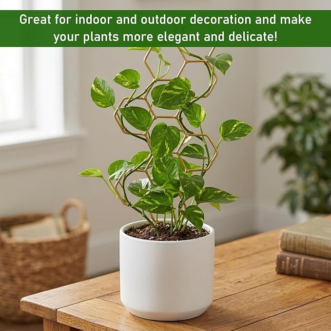 Plant Trellis Indoor, Trellis for Climbing Plants, Hanging Planters for Planting Houseplant Plant Wall, Honeycomb Pothos Planting Climber Support for Flower Indoor Plants Supports(Gold)
