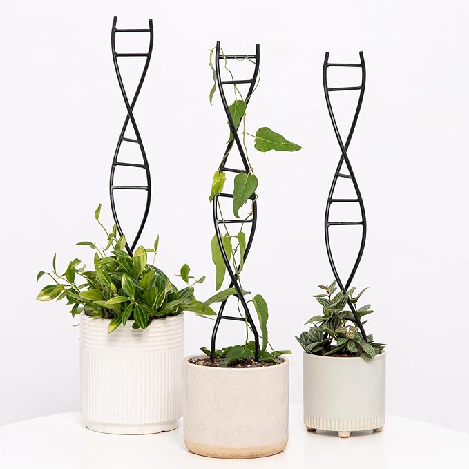 3 Pcs Indoor Plant Trellis Set - Black Metal DNA Design for Potted Plants, Small Houseplants & Climbing Support - Modern Home Decor & Vertical Garden Display - Perfect for Indoor & Outdoor Use