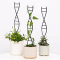 3 Pcs Indoor Plant Trellis Set - Black Metal DNA Design for Potted Plants, Small Houseplants & Climbing Support - Modern Home Decor & Vertical Garden Display - Perfect for Indoor & Outdoor Use