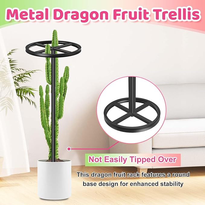 Metal Dragon Fruit Trellis, Adjustable Durable Dragon Fruit Plant Trellis Vertical Indoor Support Frame for Climbing Plants Trees Cactus Garden Outdoor Potted Support, 2 Pcs