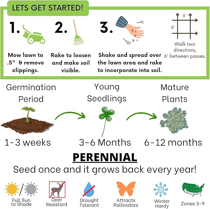 Flawn Seed Kits Micro Clover Seed, 1 Lb, Organic Coated, Eco-Friendly, Low Growing, Low Maintenance, Lawn Alternative, Kraft Zipper Pouch, Covers up to 3,600 Sqft