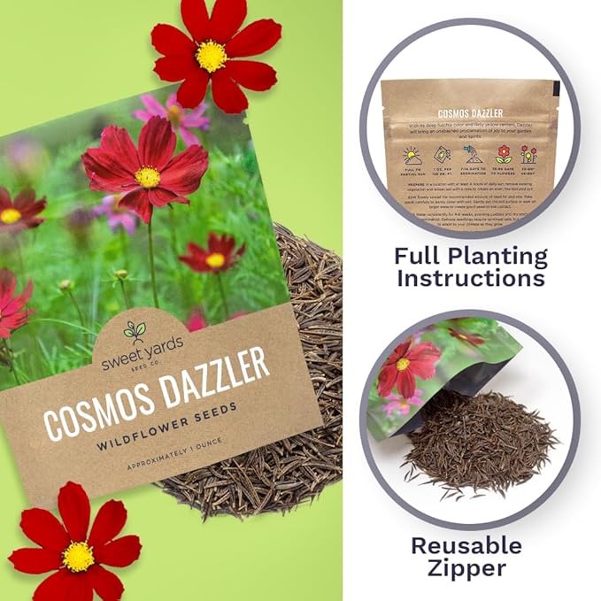 Dazzler Cosmos Wildflower Seeds - Extra Large 1 Ounce Packet - Over 5,000 Fresh Open Pollinated Non-GMO Flower Seeds - Stunning Bright Petals - Drought Tollerant