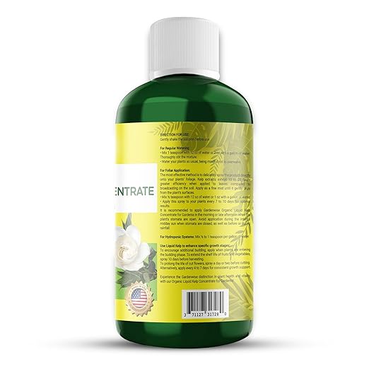 Organic Premium Kelp Seaweed Concentrate for Gardenia - Liquid Fertilizer - Liquid Plant Food - Nutrient-Rich Soil Enhancer - Natural Plant Food for Gardenia Plant (16 OZ), OLKC-14