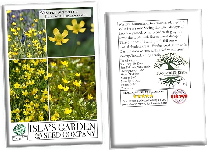Western Buttercup Seeds (Ranunculus occidentalis) – 250+ Non-GMO & Heirloom Seeds by Isla’s Garden Seeds, Long-Blooming Field Flowers for Pollinator-Friendly Gardens, Great Gardening Gift