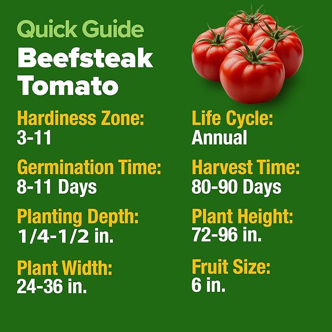 HOME GROWN Beefsteak Tomato Seed 2Pack - 600 Heirloom Tomato Seeds for Planting Outdoors High-Yield Non-GMO Vegetable Seeds for Growing Large, Meaty Tomatoes for Summer Dishes (Solanum lycopersicum)