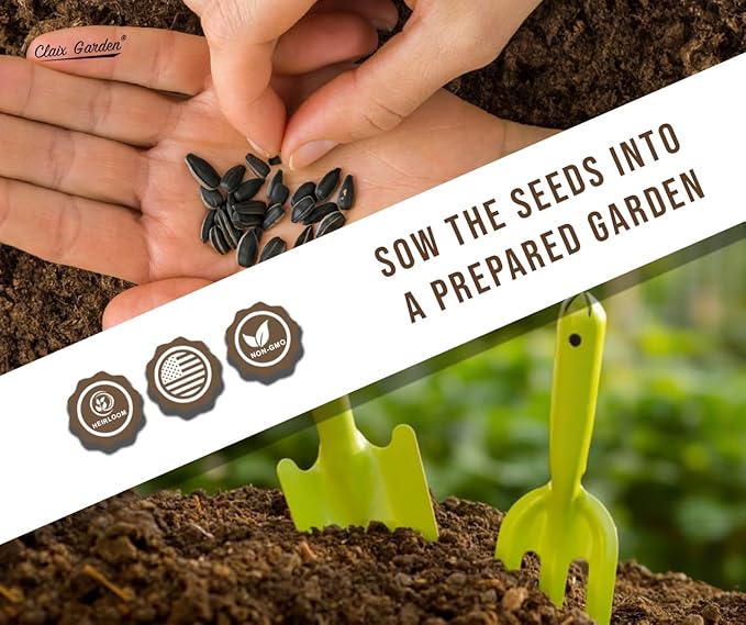 Sunflower Seeds - Teddy Bear - 100 Seeds - Heirloom, Non-GMO, USA Grown, Excellent for Pollinators, Annual, Deer Resistant - Low-Maintenance Sunflower Seeds for Any Home Garden