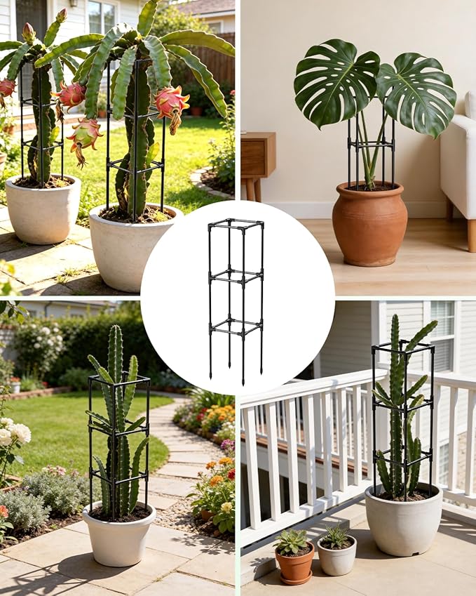 Dragon Fruit Trellis for Climbing Plants Indoor Outdoor, Heavy Duty Metal Adjustable Vertical Garden Support for Indoor Outdoor Potted Plants, Tomato, Cactus, Roses,Vines(10 * 10 * 47inch,1PC)