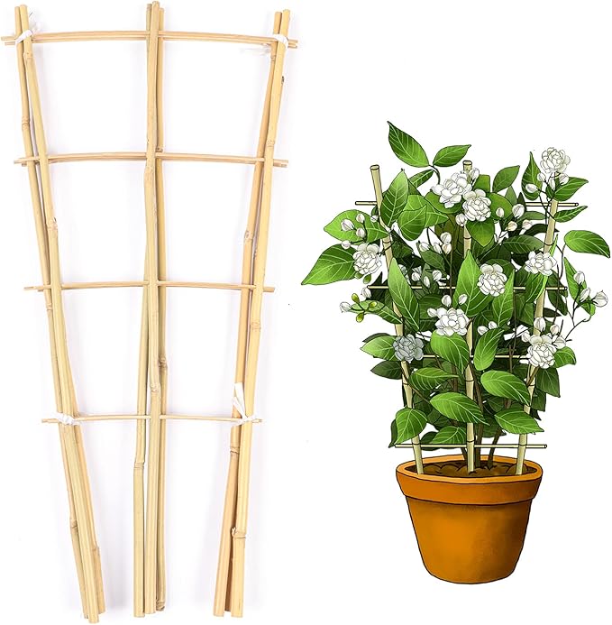 Trellis for Climbing Plants Indoor Outdoor, Natural Bamboo Trellis 24 Inch, 3 Pack Garden Trellis for Potted Plants, Ivy, Monstera, Houseplants