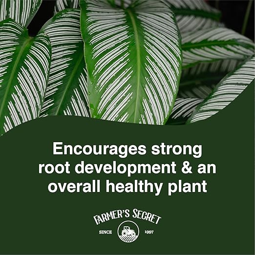Farmer's Secret Calathea Liquid Plant Food Fertilizer (8oz) - Super Concentrated - 6:5:3 Ratio - Promotes Growth and New Shoots