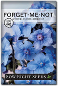 Sow Right Seeds - Forget-Me-Not Flower Seeds for Planting (Cynoglossum amabile) - Non-GMO Heirloom Packet with Instructions - Great to Pair with Cards of Remembrance - Small Blue Memory Blooms (1)
