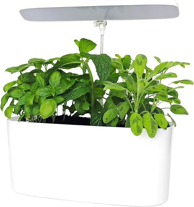 SunBlaster Nano Growlight Garden, Indoor Herb Garden, Countertop Planter, Passive Hydroponic Sytem, w/Dimmable LED Light, Timer & Adapter