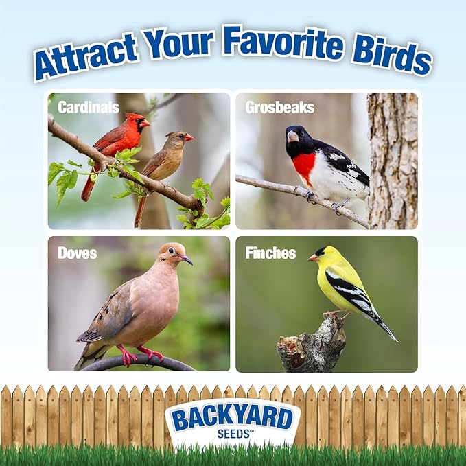CountryMax Backyard Seeds Berries 'N Fruit Bird Seed – Premium Blend for Wild Birds with Dried Fruit & Berries, 20 lb Bag