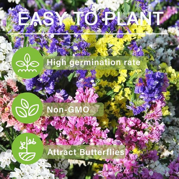 100+ Seed Statice Pastel Mix for for Planting Outdoors Garden-Annual Limonium Sinuatum Cut Flower Beautiful Flowers Bloom Easy to Maintain