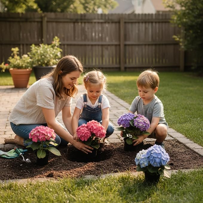 Hydrangea Seeds, 1.76 Ounces,300+ Pcs,Flower Seeds for Planting