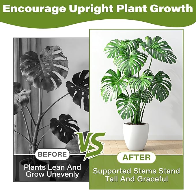 24pcs Plant Stem Support, Unique Design Stem Supports for Indoor Plants, Monstera Plant Support for Thriving Growth, 4 Sizes Climbing Houseplant Stem Holders, Reusable Plant Accessories