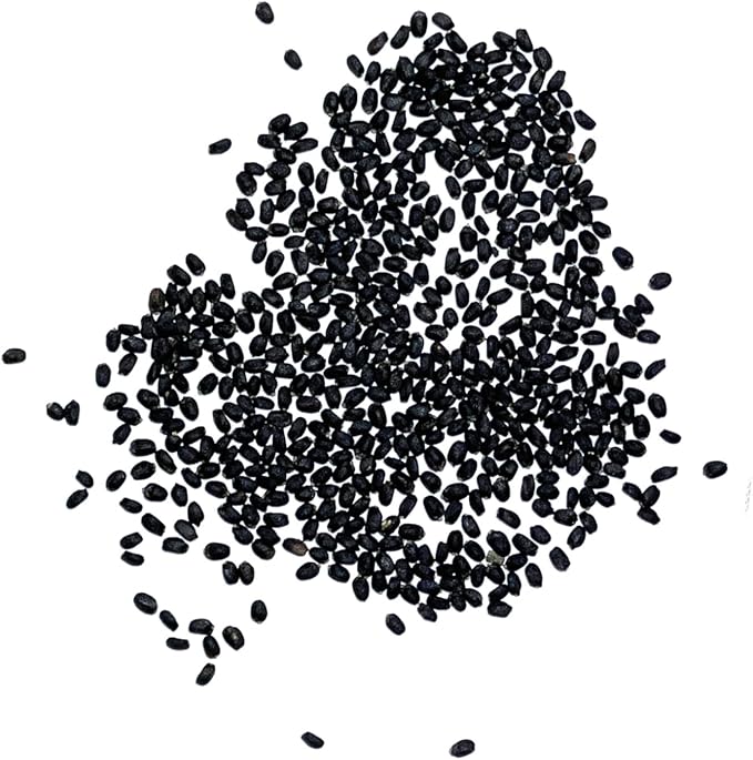 Seed Needs Sweet Genovese Basil Seeds for Planting - Non-GMO Heirloom & Untreated Culinary Herb Seed to Plant an Indoor or Outdoor Home Grown Kitchen Garden (5 Packs)
