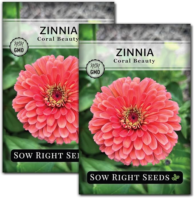 Sow Right Seeds - Zinnia Coral Flower Seeds for Planting - Beautiful Flowers to Plant in Your Garden - Non-GMO Heirloom Seeds - Vibrant Colored Variety - Attract Pollinators - Giant Cut Flower (2)