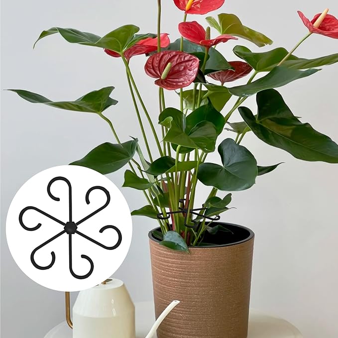 PAGOW 8 Pcs Climbing Houseplant Stem Supports, Black Plastic Flower Plant Growth Stakes Trellis, Reusable Plant Stem Holders, Stem Hook Growth Accessories for Plant Garden (4 Sizes)