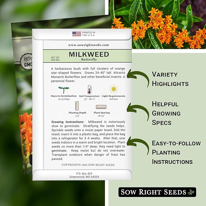Sow Right Seeds Butterfly Milkweed Seeds - Attract Monarch And Other Butterflies to Your Garden - Non-GMO Heirloom Seed Packet With instructions for Planting - Perennial Host Plant for Pollinators (4)