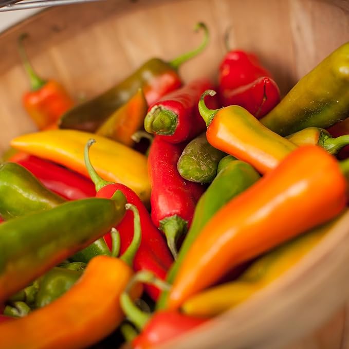 Back to The Roots 100% Organic Seed Packet - Pepper 'Hot Pepper Mix' 140mg