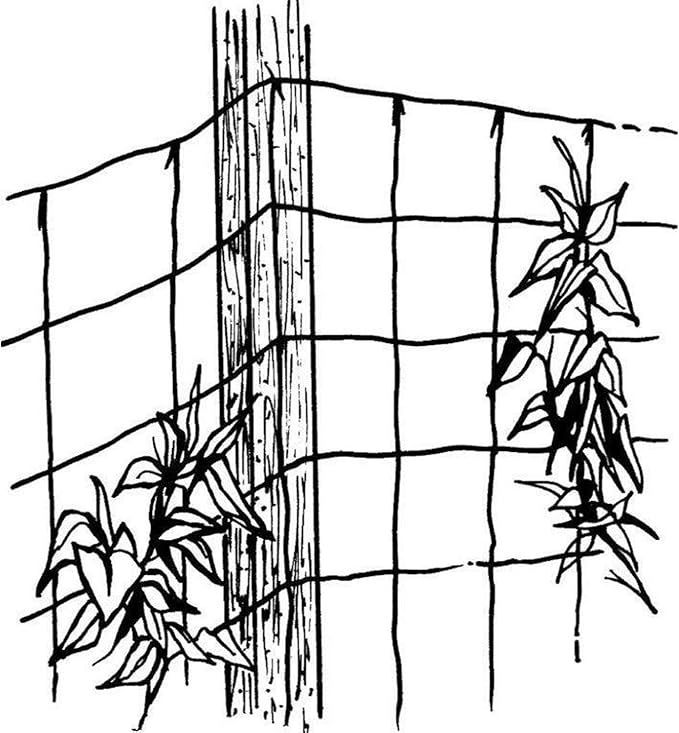 Luster Leaf 864 Rapiclip Vine and Veggie Trellis Net, Green