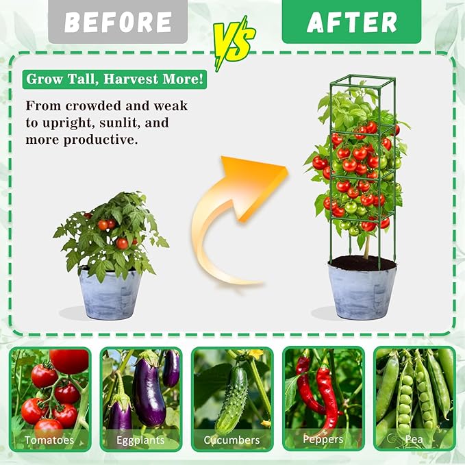 Riare 2 Pack Square Tomato Cages for Garden Plant Support- 60 Inch Heavy Duty Tomato Cage Garden Stakes Tomato Trellis for Climbing Plants Vegetables Flowers Outdoor Indoor