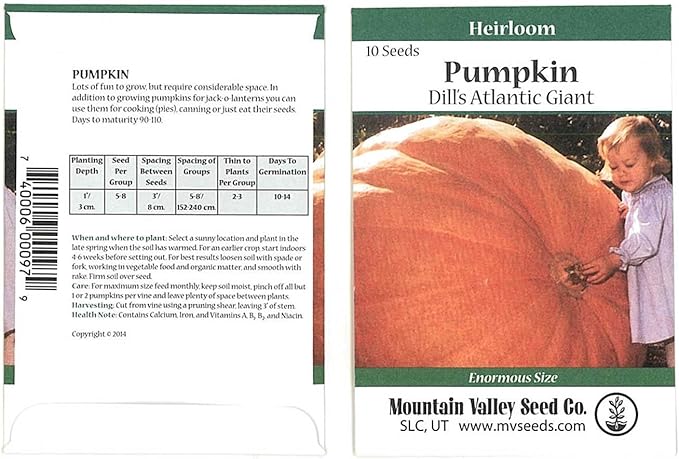 Pumpkin Garden Seeds - Dills Atlantic Giant Variety - 10 Seed Packet - Non-GMO, Heirloom Pumpkins - Medium Orange - Vegetable Gardening Seed