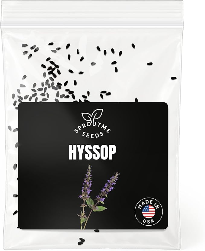 Fall & Winter Hyssop Seeds for Indoor & Outdoor Planting – 150+ Non-GMO Heirloom USA-Grown Medicinal Herbal Tea & Aromatic Flowers with High Germination (Hyssopus officinalis)