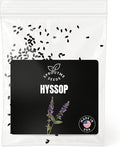 Fall & Winter Hyssop Seeds for Indoor & Outdoor Planting – 150+ Non-GMO Heirloom USA-Grown Medicinal Herbal Tea & Aromatic Flowers with High Germination (Hyssopus officinalis)
