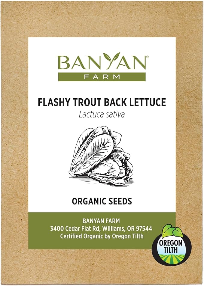 Banyan Botanicals Organic Lettuce Seeds – for Planting Outdoors or Indoors – Flashy Trout Back Lettuce Seeds – 100 Count – Open Pollinated Non-GMO