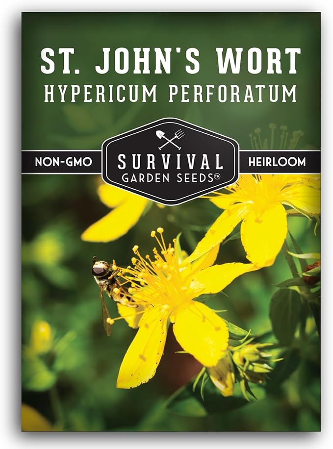 Survival Garden Seeds St. John's Wort Seeds for Planting – 1 Packet with Instructions to Grow Beneficial Perennial Herbs in Your Home Herb Garden – Non-GMO Heirloom Variety Seed