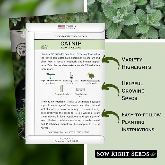 Sow Right Seeds - Catnip Seed for Planting - Popular Herb for Happy Cats - Non-GMO Heirloom Packet with Instructions to Plant and Grow - A Gift for The Cat Lover - Perennial Herb Indoors (1)