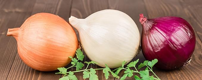 CEMEHA SEEDS - Seeds Onion Mix Non GMO Vegetable for Planting
