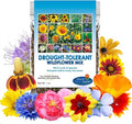 Drought Resistant Wildflower Seeds - 1oz, Open-Pollinated Bulk Flower Seed Mix for Beautiful Perennial, Annual Garden Flowers - No Fillers - 1 oz Packet