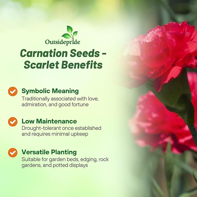 Outsidepride Scarlet Carnation Seeds - 1000 Pcs Biennial, Easy to Grow Flower Seeds for Planting with Fragrant Blooms, Ideal for Pollinators, Cutting Gardens, Bouquets, & Floral Arrangements