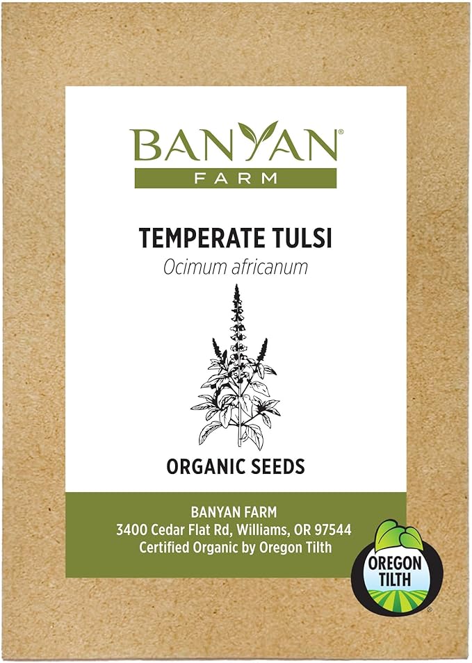 Banyan Botanicals Organic Temperate Tulsi Seeds– Tulsi (Holy Basil) Seeds – Kapoor Tulsi (Ocimum africanum) – Leaves & Flowers for Cooking or Tulsi Tea – 50 Count Open Pollinated Non-GMO Easy to Grow