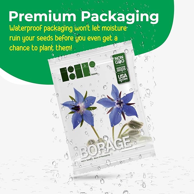 Borage Seeds - Starflower - Heirloom Non-GMO Herb Seeds for Planting an Herb Garden - 100 Seeds - Borago Officinalis - by RDR Seeds