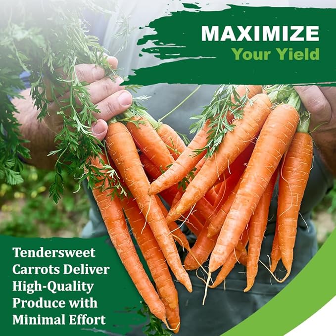 TKE Farms & Gardens - Tendersweet Carrot Seeds, 2500+ Non-GMO Heirloom Seeds, Grow Sweet, Crisp Carrots, Easy to Grow for Fresh Garden-to-Table Goodness, Includes Growing Instructions