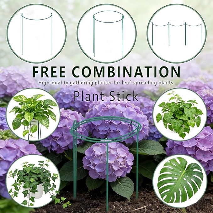 TUKIU 6 Pack 13 Inch Plant Stakes, Metal Peony Cages and Supports, Garden Stakes Plant Support Cage, Plant Support Ring Border for Peony Tomato,Hydrangea,Flower Indoor Outdoor (7.8" W x 13" H)