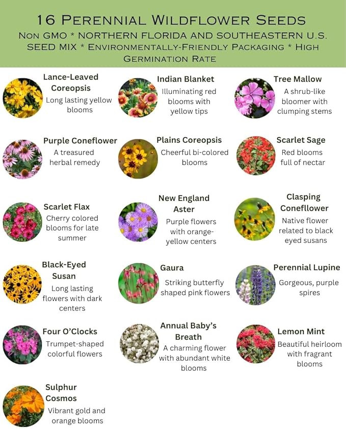 Northern Florida Bulk Perennial Wildflower Seed Mix 1lb Covers 2,000sq-ft - Attract Pollinators, Multi-Color Blooms - Southeast US Species Plant in Spring/Fall, Earth-Friendly Packaging (1 Pound)